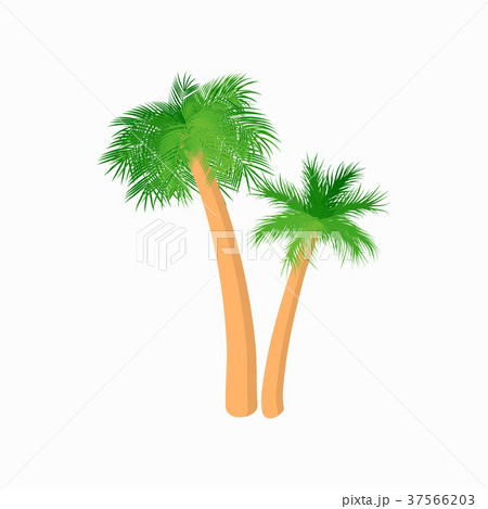 Two palm trees icon, cartoon style 37566203