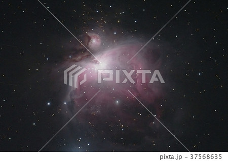 オリオン大星雲 37568635