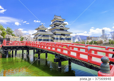 国宝松本城と埋橋 37569940