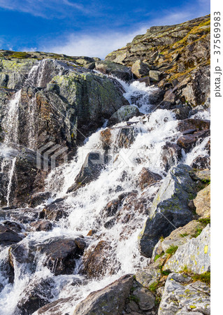 The summer trip to Trolltunga, The Troll's tongue The summer trip to Trolltunga, The Troll's tongue 37569983