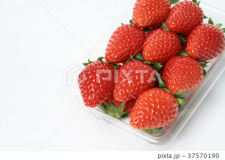 パック詰め　イチゴ　 37570190