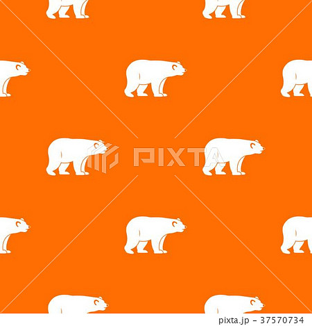Wild bear pattern seamless Wild bear pattern seamless 37570734