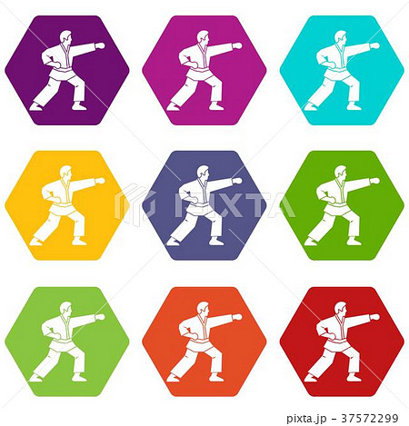Aikido fighter icon set color hexahedron 37572299