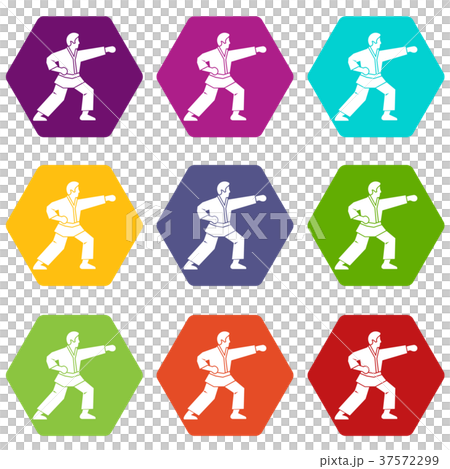 Aikido fighter icon set color hexahedron 37572299
