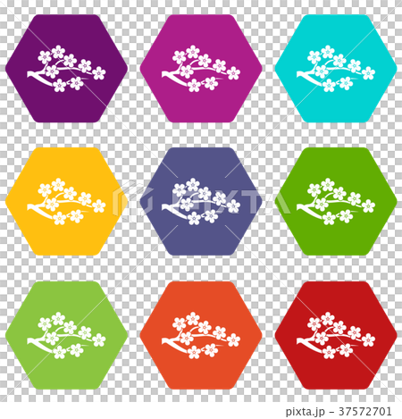 Sakura icon set color hexahedron 37572701