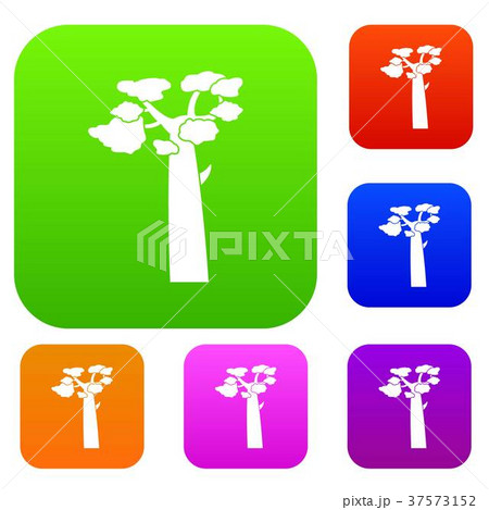 Baobab set color collection Baobab set color collection 37573152
