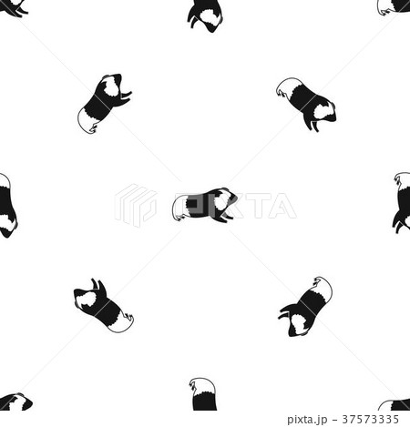 Hamster pattern seamless black 37573335