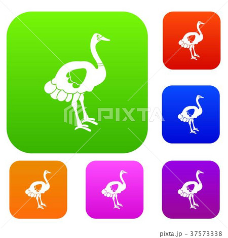 Ostrich set color collection 37573338