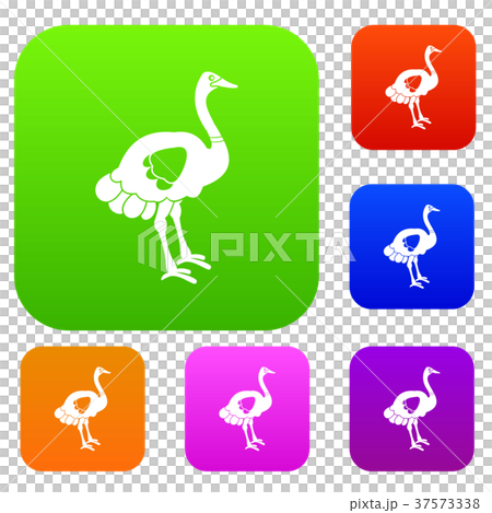 Ostrich set color collection 37573338