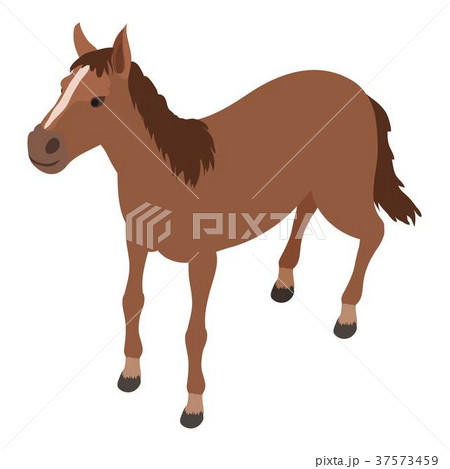 Horse icon, isometric style 37573459