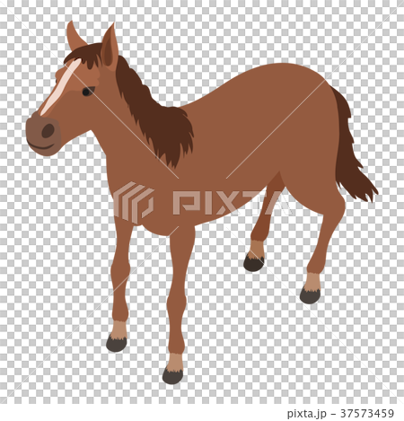 Horse icon, isometric style 37573459