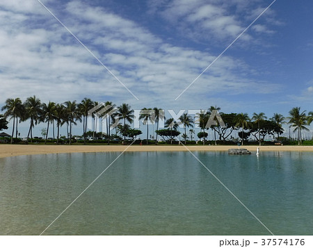 ヒルトンハワイアンビレッジ 37574176