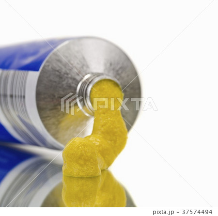 37574494