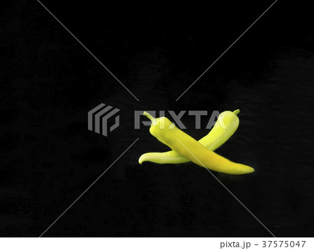 37575047