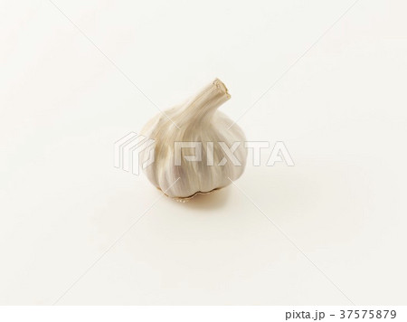 37575879