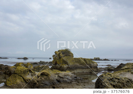 能登島 37576076