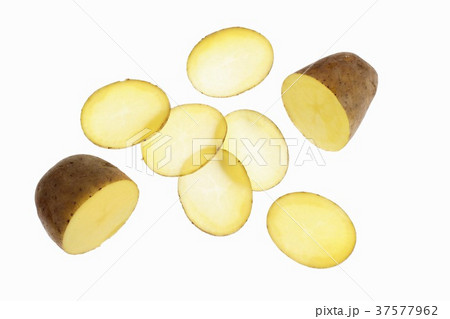 37577962