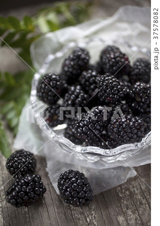 37578082