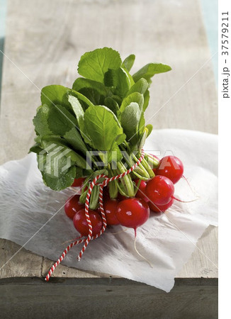 37579211
