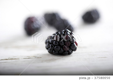 37580050