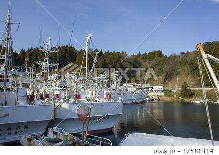 小木港のイカ釣り船 37580314