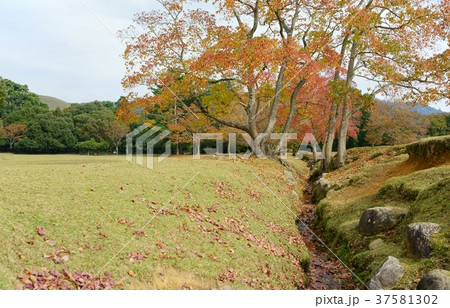 奈良公園 飛火野の秋５の写真素材