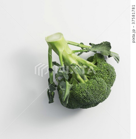 37581781