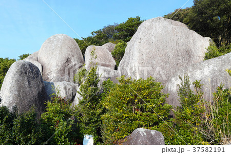 唐人駄場 唐人駄場 37582191