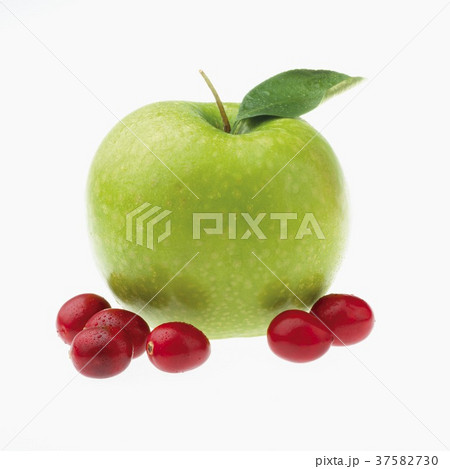 37582730