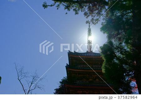 逆光で見上げる・海住山寺五重塔2 逆光で見上げる・海住山寺五重塔2 37582964