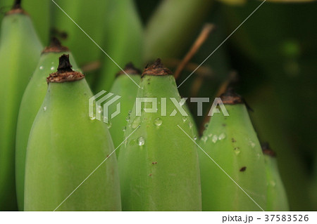 台湾 台北 台北市 37583526