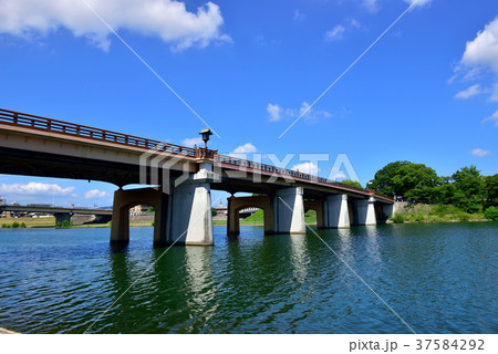 鶴見橋/岡山後楽園付近（岡山県岡山市） 37584292