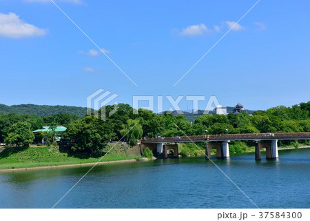 岡山後楽園付近(岡山県岡山市) 岡山後楽園付近(岡山県岡山市) 37584300