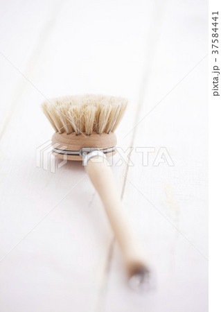 37584441