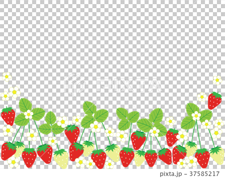 Ichigo 3 Ichigo 3 37585217