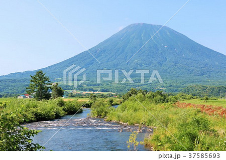 北海道 夏の青空と羊蹄山 北海道 夏の青空と羊蹄山 37585693