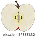 カットりんご 37585832