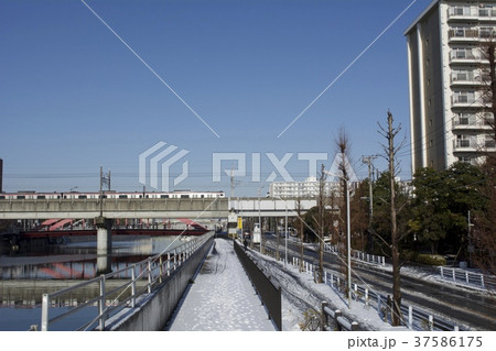 浦安市 1月 降雪 37586175