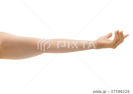 女性の腕 37586326