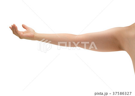 女性の腕の写真素材