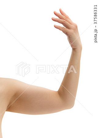 女性の腕の写真素材
