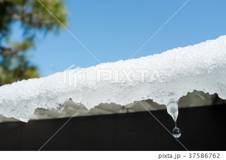 雪解け しずくの写真素材