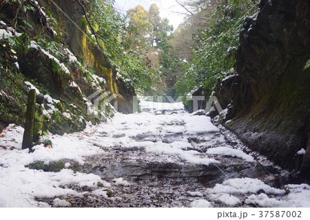 朝比奈切通し 37587002