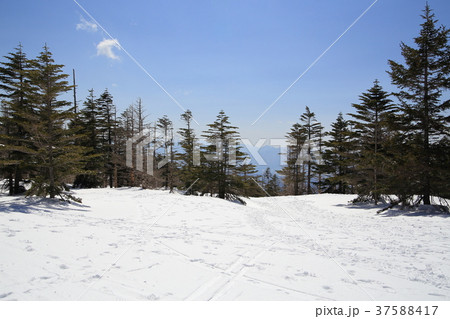 北八ヶ岳ロープウェイ山頂駅付近からの眺め 37588417