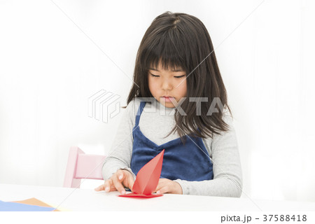 折り紙で鶴を作る女の子 37588418