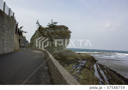 仁江海岸 仁江海岸 37588759