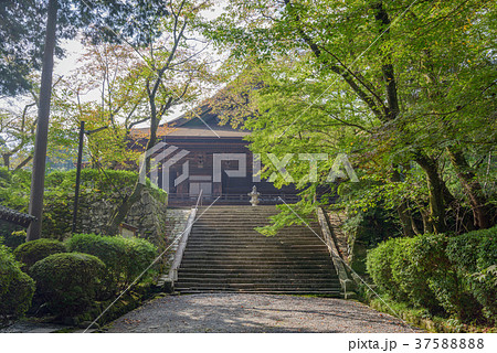 三井寺(園城寺)境内の風景 三井寺(園城寺)境内の風景 37588888