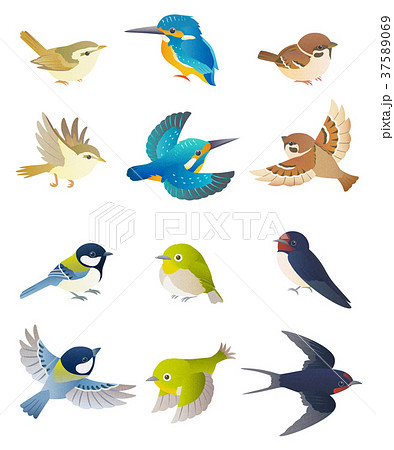 鳥のイラスト素材