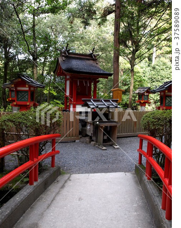 大神神社・市杵島姫神社 37589089