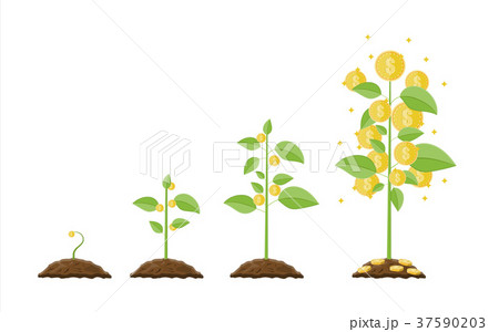 Growing money tree. Stages of growing. Growing money tree. Stages of growing. 37590203